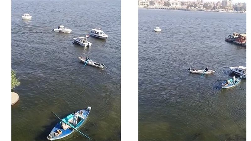 المسطحات والانقاذ