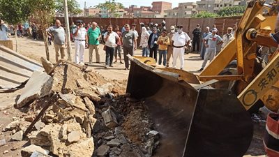 إزالة 49 حالة تعد على أملاك الدولة بالدقهلية | صور