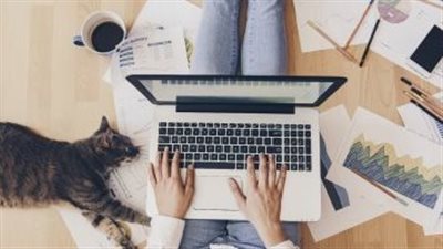 خدمات نيابات المرور، في منزلك، أون لاين