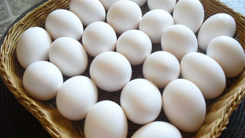 ارتفاع أسعار البيض