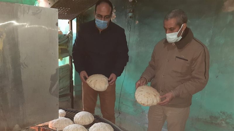 حملة تموينية بالدقهلية