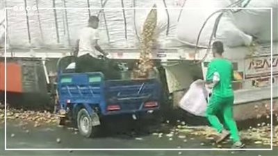 عقوبة صادمة تنتظر المتهمين بسرقة 