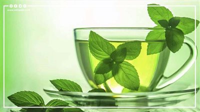 فوائد للنعناع تدفعك لتناوله يوميا (انفوجراف)