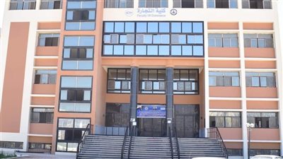 جامعة العريش تستقبل العام الجديد بـ 8 برامج مميزة ولائحة ساعات معتمدة للطب والتجارة