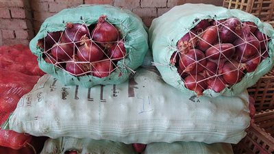 أسعار الخضراوات اليوم، كيلو البصل يسجل 26 جنيهًا في سوق العبور