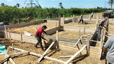 إزالة 26 حالة تعد على الأراضي الزراعية في البحيرة (صور)