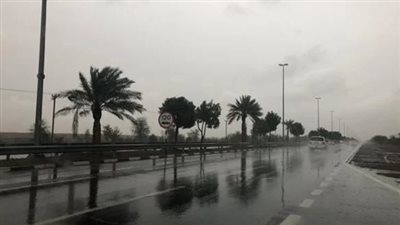الأرصاد: الخريف يستمر لمدة 3 أشهر، وزيادة في الشبورة المائية 