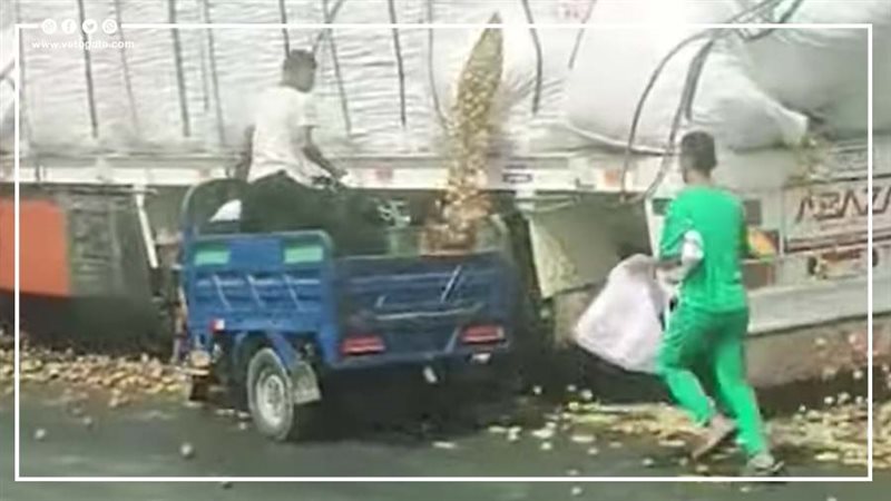 عصابة البطاطس،فيتو