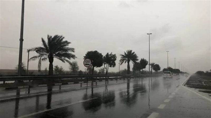 الخريف،فيتو