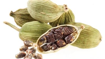 فوائد الحبهان، ينشط الكبد ويقتل الخلايا السرطانية ويقاوم الالتهابات بالجسم 