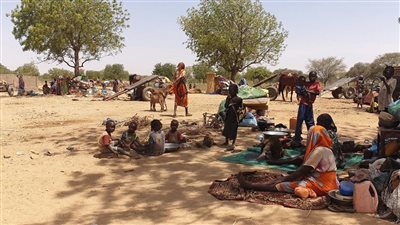 تحذير دولي: مساعدات اللاجئين السودانيين في تشاد لا تبقيهم على قيد الحياة