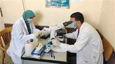 إجراء 50 ألفا و848 تحليلا مختلفا بمعامل المستشفيات بالمنيا