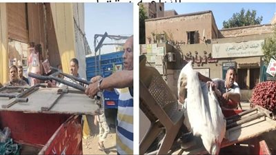 رفع إشغالات وتعديات الباعة الجائلين بشارع الجمعية في بشتيل (صور)