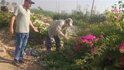 زراعة أشجار مثمرة وأخرى للزينة بمركزين في المنيا