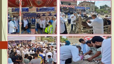 فحص 3800 حيوان وطائر بقافلة بيطرية في الشرقية 