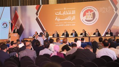 10 ديسمبر بدء التصويت في انتخابات الرئاسة للمصريين في الداخل لمدة 3 أيام