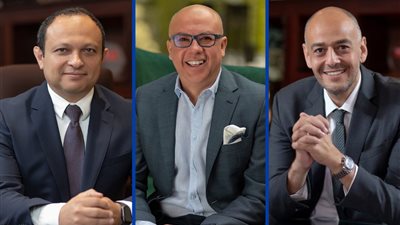 وائل عز ووائل لطفي رئيسان تنفيذيان لماونتن فيو