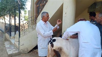  جامعة الزقازيق: قافلة بيطرية بقرية الشبراوين في مركز ههيا 