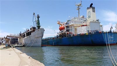 وصول 63 ألف طن قمح روسي لميناء سفاجا