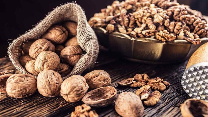 عين الجمل وفوائده،