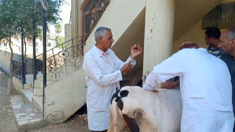 قافلة بيطرية بقرية