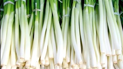 أستاذ باليابان يكشف عن حل لأزمة ارتفاع سعر البصل في مصر