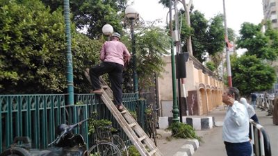 الشرقية تواصل الاستعدادات لاستقبال وفود مهرجان الخيول العربية 