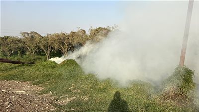 السيطرة على حريق هائل داخل أرض زراعية ببنها