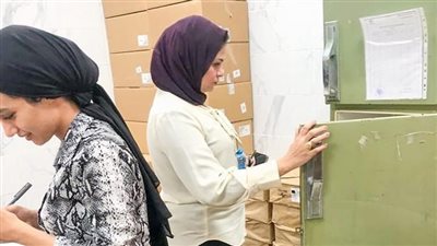 المرور على 271 منشأة خلال حملات صحية في الدقهلية 