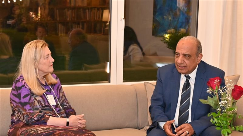 وزير قطاع الأعمال،فيتو