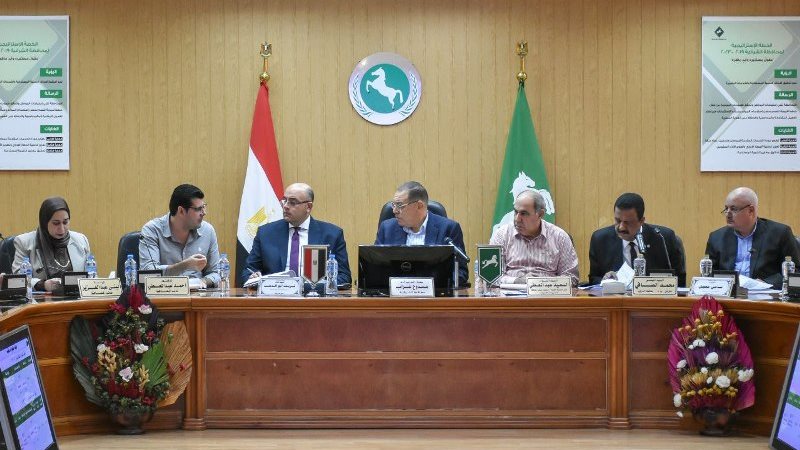 تنفيذو الشرقية، فيتو
