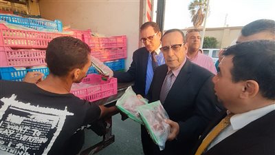 محافظ شمال سيناء يتفقد سيارات المواد الغذائية بالعريش