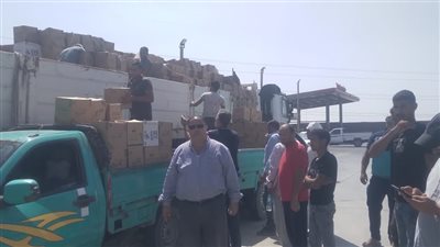 2838 كرتونة مواد غذائية للمنقولين من رفح إلى البحيرة والإسماعيلية