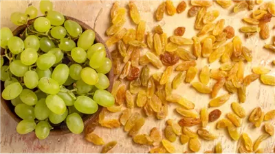 فوائد الزبيب، مهم للرياضيين ويمد الجسم بالطاقة ويخفض الكوليسترول 