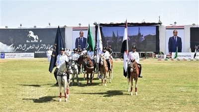 في يومه الأول، مشاهد من أقدم مهرجانات الخيول العربية بالشرقية (فيديو)