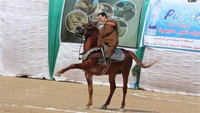 انطلاق فعاليات اليوم الثاني لمهرجان الخيول العربية بالشرقية بمشاركة 181 حصانا