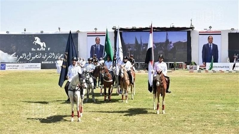 مهرجان الشرقية للخيول