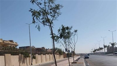 جهاز دمياط الجديدة يشن حملة موسعة على المخالفات 