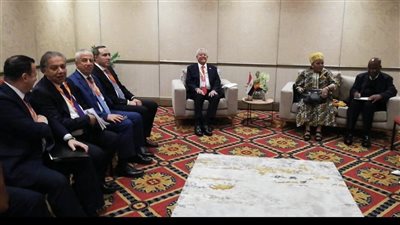 تفاصيل لقاء حنفي جبالي مع رئيسي غرفتي برلمان جنوب أفريقيا