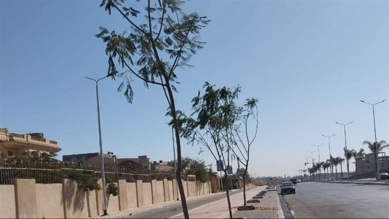 جهاز تنمية مدينة