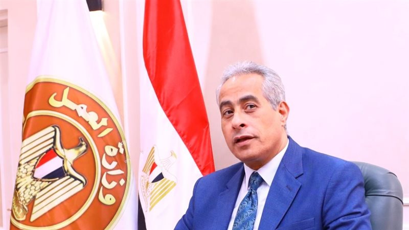 حسن شحاتة وزير العمل،
