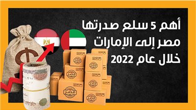 أهم 5 سلع صدرتها مصر إلى الإمارات خلال عام 2022 (انفوجراف)