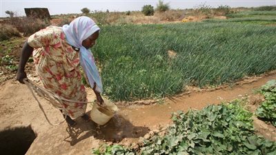 دمرتها الحرب والملاريا.. والي شمال دارفور يعين مديرين جددا للسيطرة على الكارثة