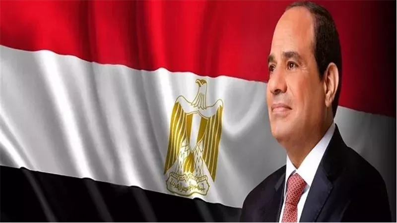 الرئيس السيسي،فيتو