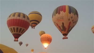 تحليق 60 رحلة بالون طائر في سماء الأقصر