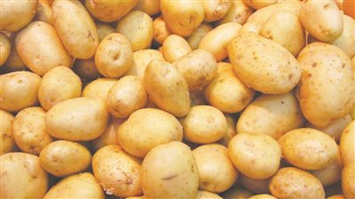  حتى لا تتوقف المصانع، طلب إحاطة بشأن إيقاف تصدير بطاطس التصنيع