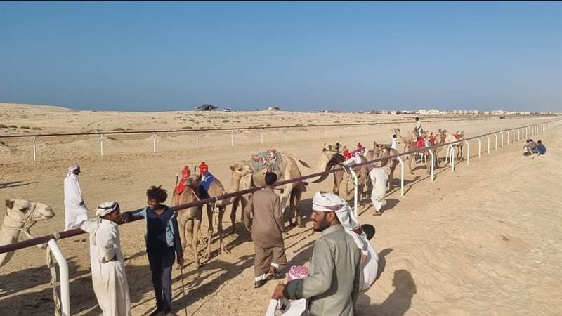 سباق الهجن، فيتو