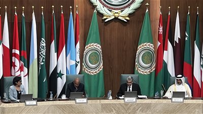 أبو الغيط يعلن تحقيق حلم السوق العربي المشترك للكهرباء (صور) 