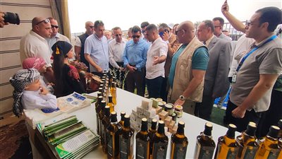 وزير الرياضة ومحافظ شمال سيناء يفتتحان مهرجان سيناء الأول للزيتون بالعريش (صور)