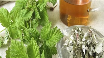 فوائد البردقوش، مهديء للأعصاب ويحمي القلب من الأمراض